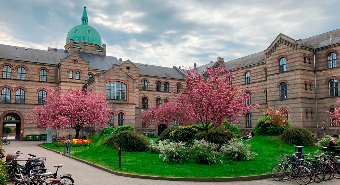 Københavns Universitet